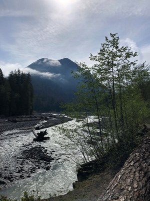 Day Hike - Carbon River Road & Old Mine Trail