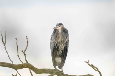 Day Hike - Center for Urban Horticulture