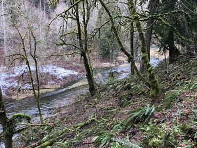 Day Hike - Chambers Creek Canyon