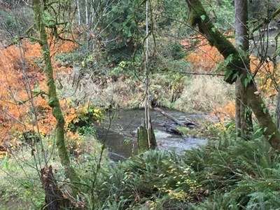 Day Hike - Chambers Creek Canyon