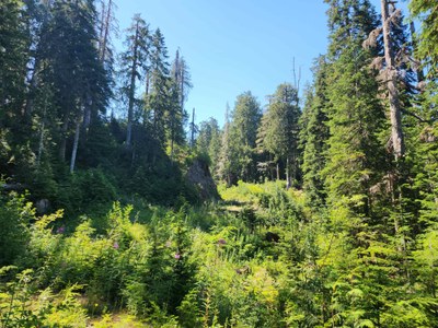 Day Hike - Church Creek–Satsop Lakes