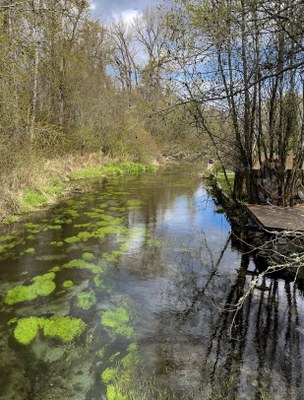 Day Hike - Clark's Creek Park