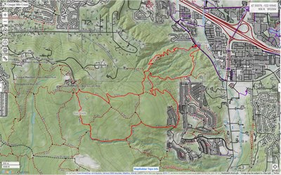 Day Hike - Cougar Mountain: Big Tree Ridge