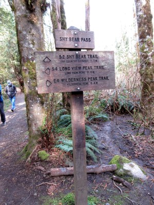 Day Hike - Cougar Mountain: Jim Whittaker Wilderness Peak Trailhead