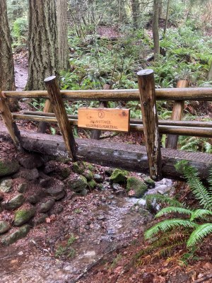 Day Hike - Cougar Mountain: Jim Whittaker Wilderness Peak Trailhead