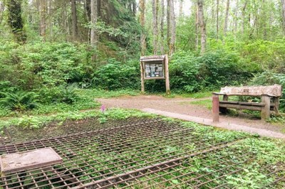 Day Hike - Cougar Mountain: Red Town Trailhead