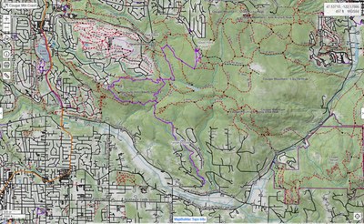 Day Hike - Cougar Mountain: Sky Country Trailhead