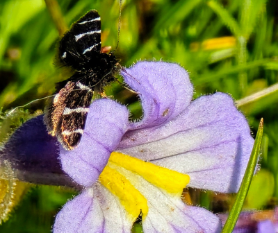 Day Hike - Coyote Wall