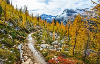 Day Hike - Cutthroat Lake & Pass