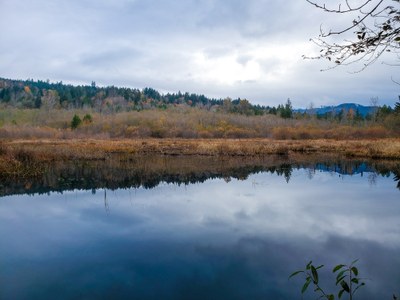 Day Hike - Darlin Creek Preserve (Olympia)