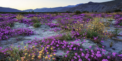 Day Hike - Death Valley National Park