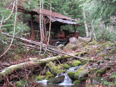 Day Hike - Dirty Harry's Peak Trail