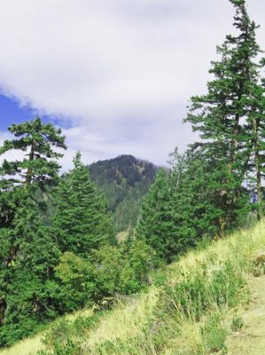 Day Hike - Driveway Butte