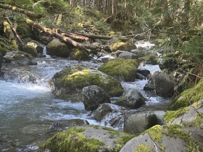 Day Hike - Dry Creek