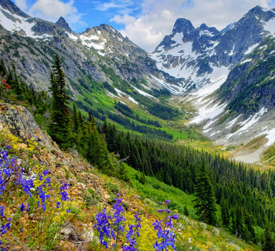 Day Hike - Easy Pass & Fisher Creek Basin