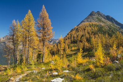 Day Hike - Easy Pass & Fisher Creek Basin