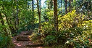 Day Hike - Frye Cove County Park