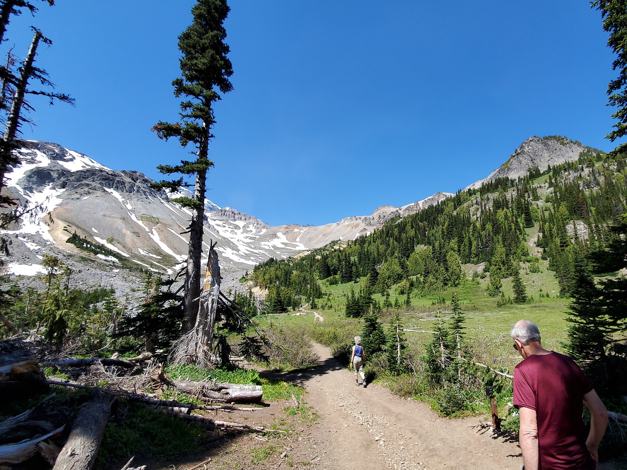 Day Hike Glacier Basin (Mount Rainier) — The Mountaineers