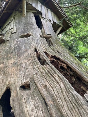 Day Hike - Guillemot Cove