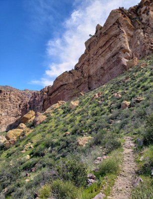 Day Hike - Mountains of Southern Arizona