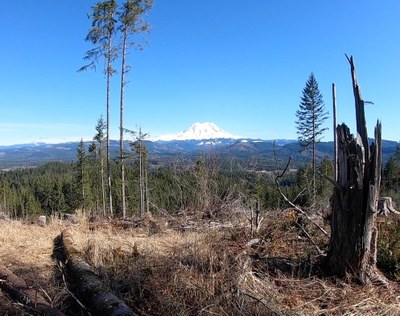 Day Hike - Hugo Peak & Windy Ridge