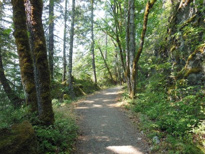 Day Hike - Iron Goat Trail
