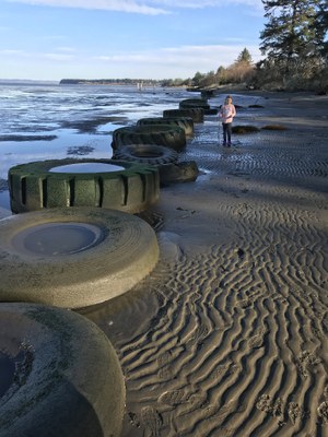 Day Hike - Johns River State Wildlife Area & Bottle Beach State Park