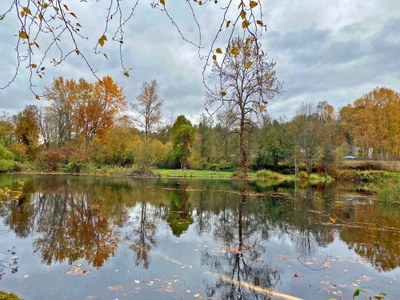 Day Hike - Lake Fenwick via the Rabbit Loop