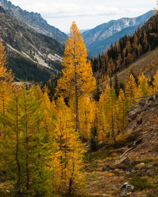 Day Hike - Lake Ingalls
