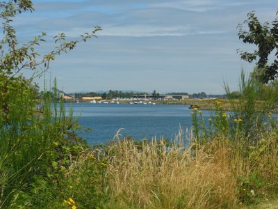 Day Hike - Langus Riverfront Park & Spencer Island