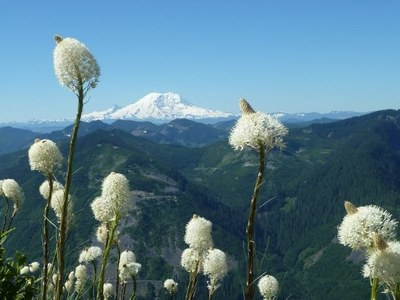 Day Hike - Little Bandera Mountain