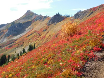 Day Hike - Little Giant Pass