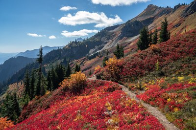Day Hike - Little Giant Pass
