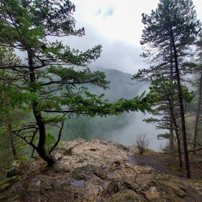 Day Hike - Little Si & Boulder Garden Loop