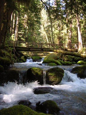Day Hike - Lower Big Quilcene
