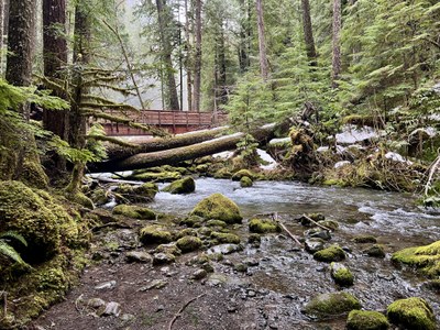 Day Hike - Lower Big Quilcene