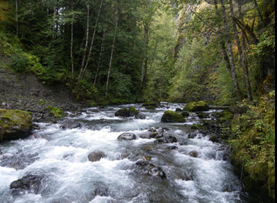 Day Hike - Lower Dungeness River