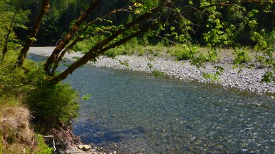 Day Hike - Lower South Fork Skokomish River