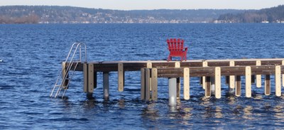 Day Hike - Marina Park to Bellevue Transit Center