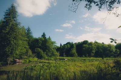 Day Hike - McLane Creek Nature Trail