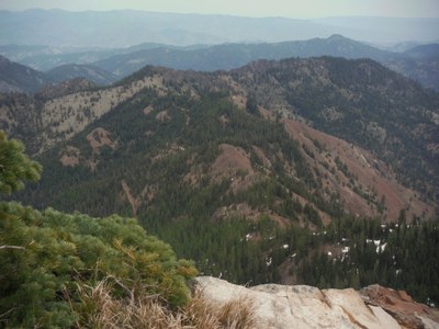 Day Hike - Miller Peak