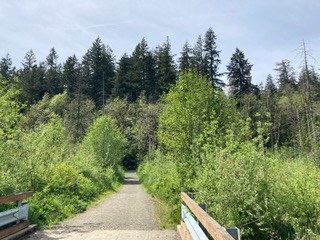 Day Hike - Millersylvania State Park