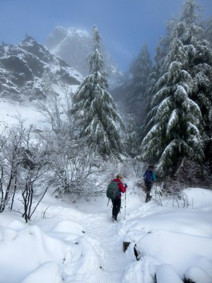 Day Hike - Mount Si Main Trail