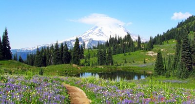 Day Hike - Naches Peak Loop