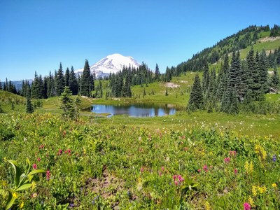 Day Hike - Naches Peak Loop