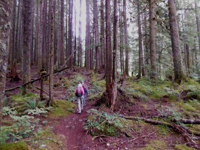 Day Hike - Necklace Valley