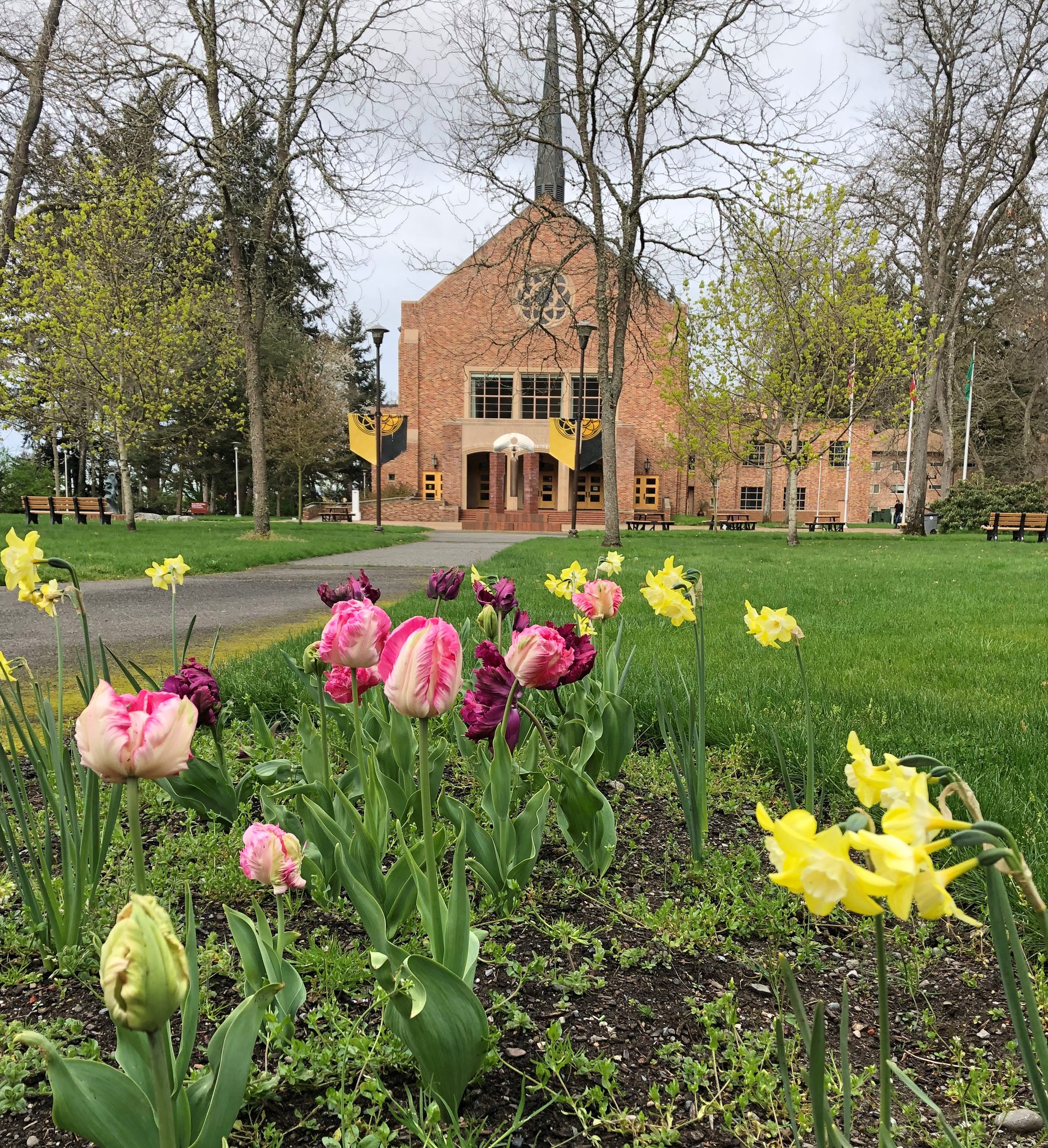 Day Hike Pacific Lutheran University & Parkland Prairie — The
