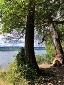 Day Hike - Point Defiance Park