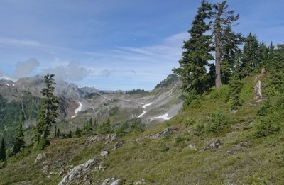 Day Hike - Ptarmigan Ridge