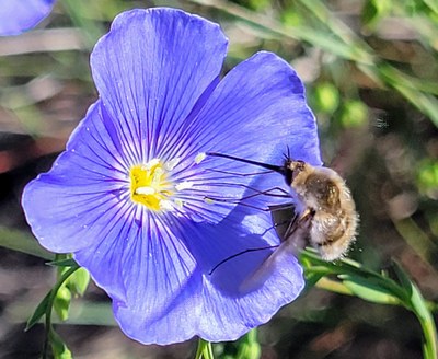 Day Hike - Robinson & Ainsley Canyons